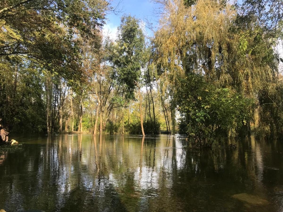 Ferienwohnung Ancien Moulin A Eau Sur La Seugne Mosnac  Exterior foto